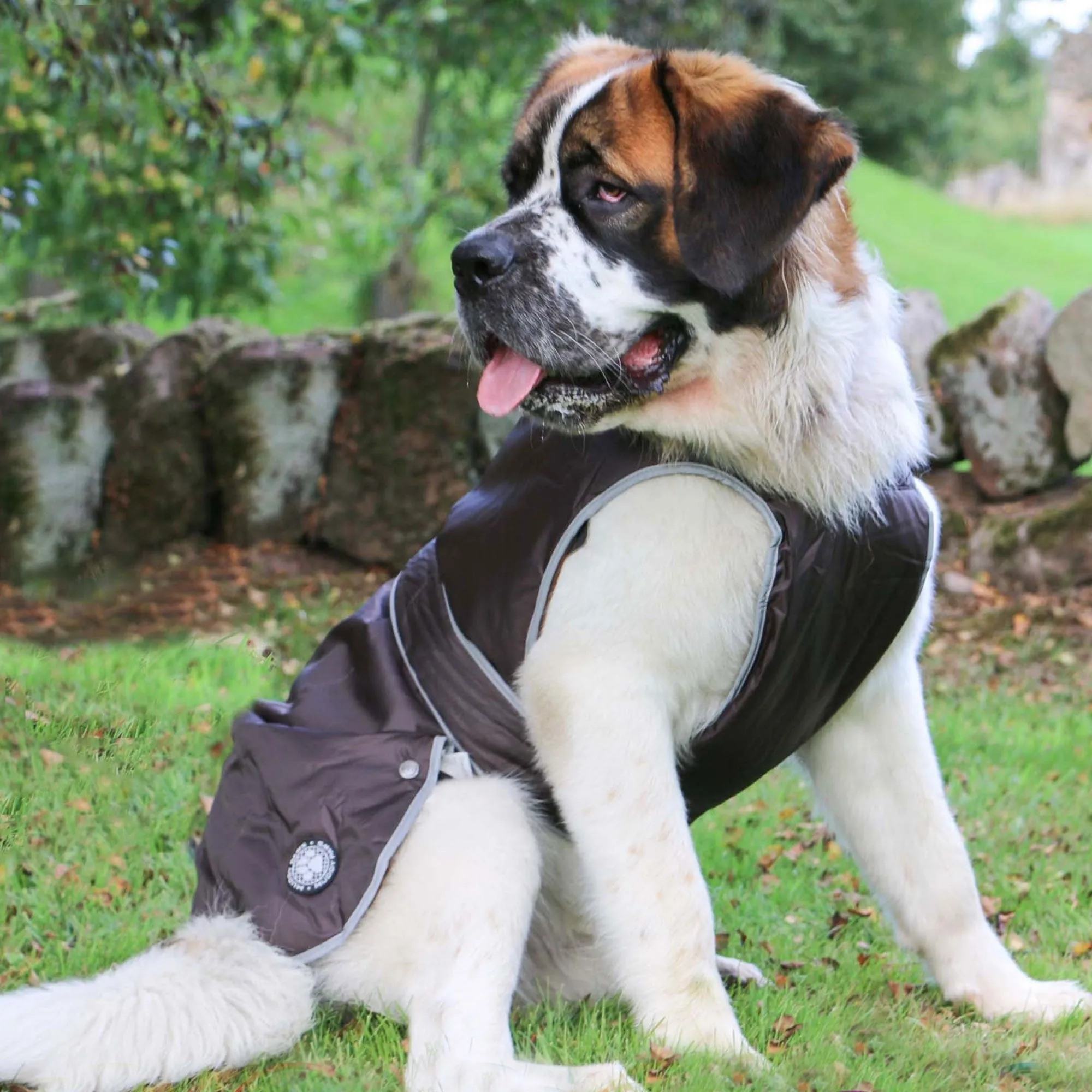 Ancol Stormguard Waterproof Dog Coat