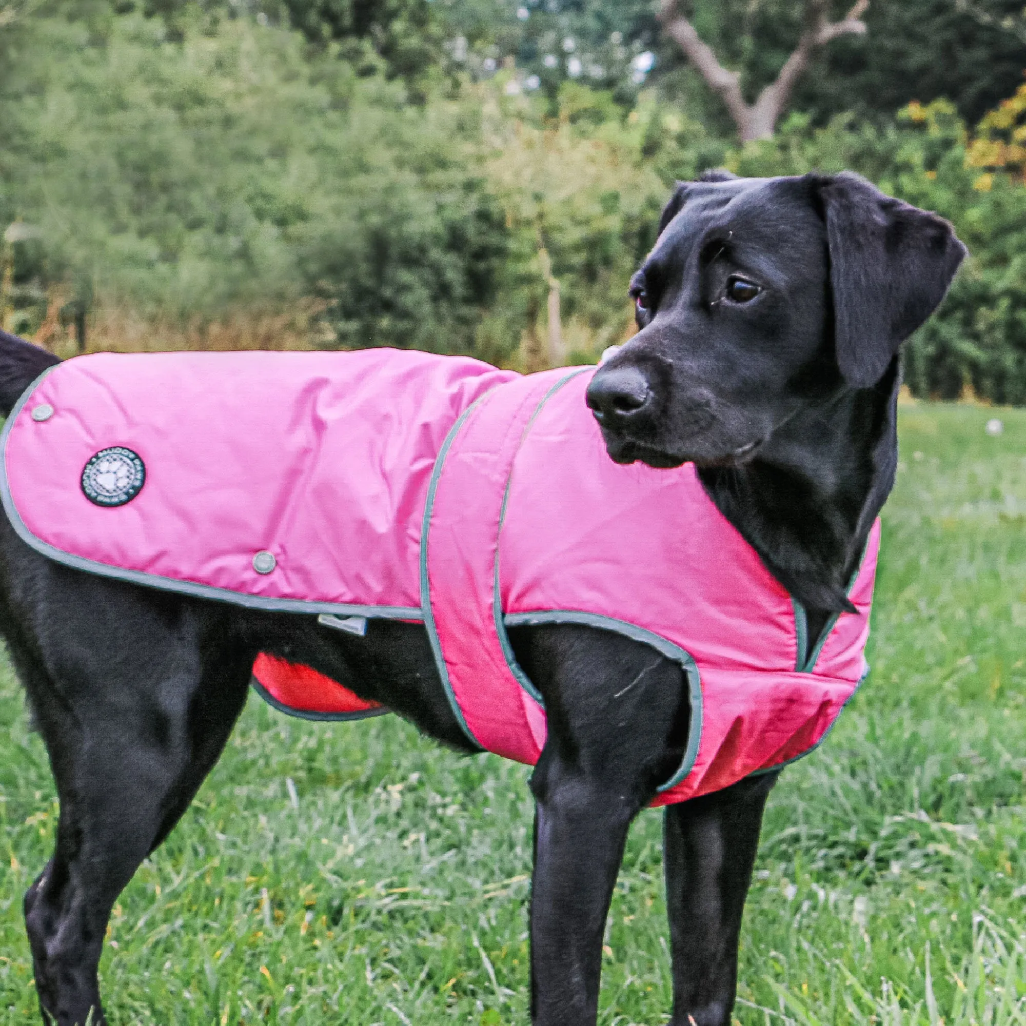 Ancol Stormguard Waterproof Dog Coat