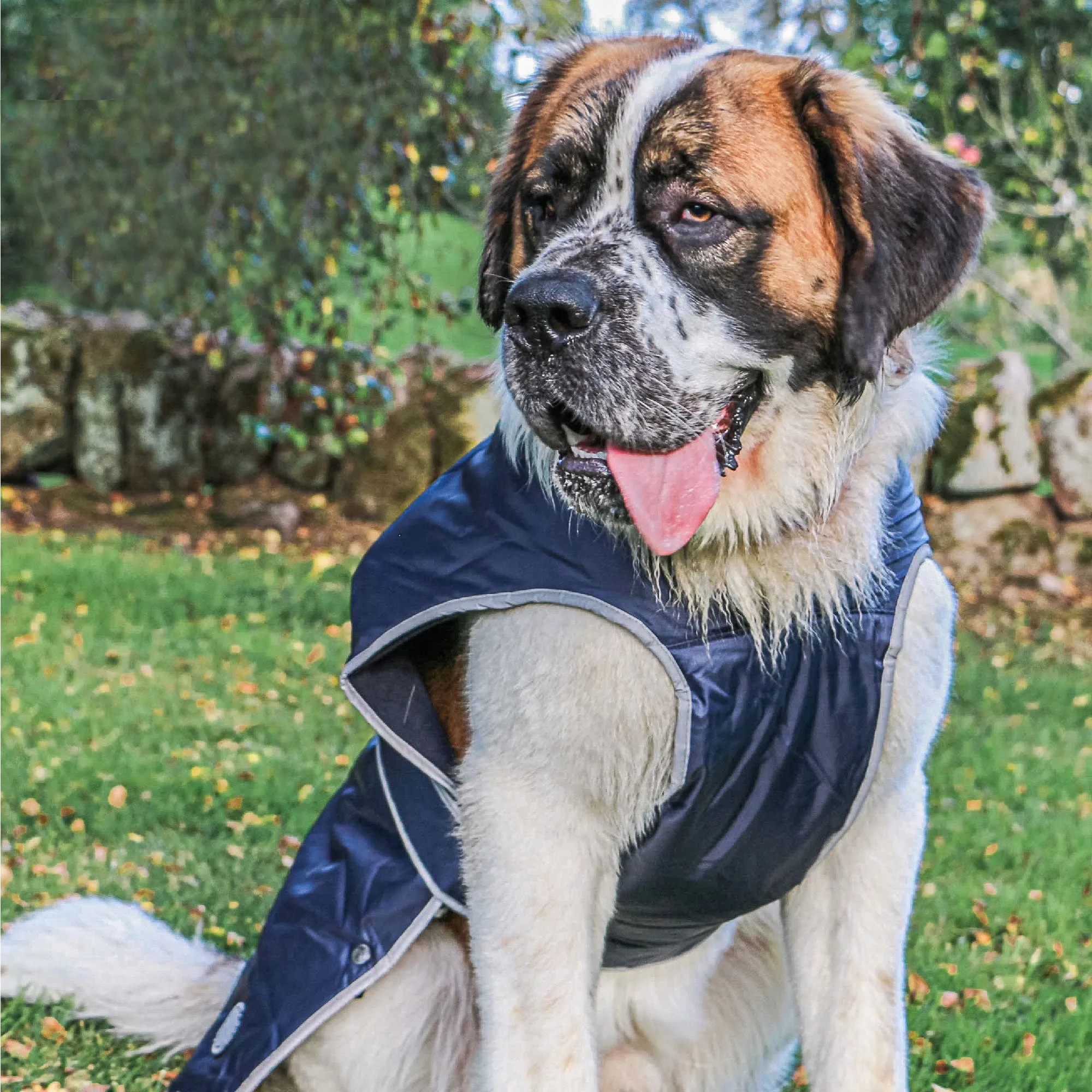 Ancol Stormguard Waterproof Dog Coat