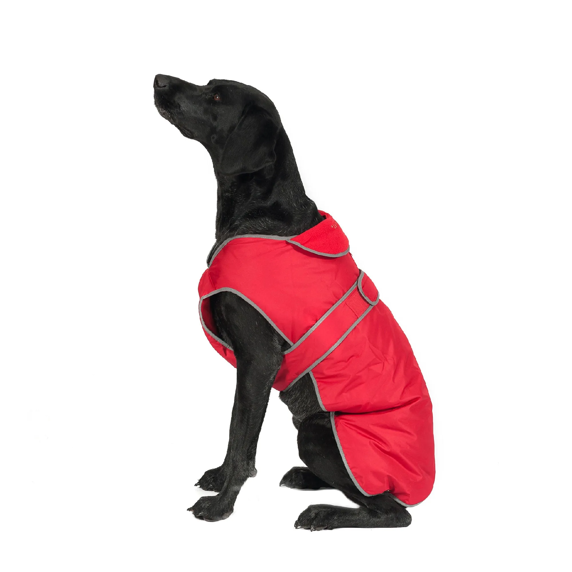 Ancol Stormguard Waterproof Dog Coat