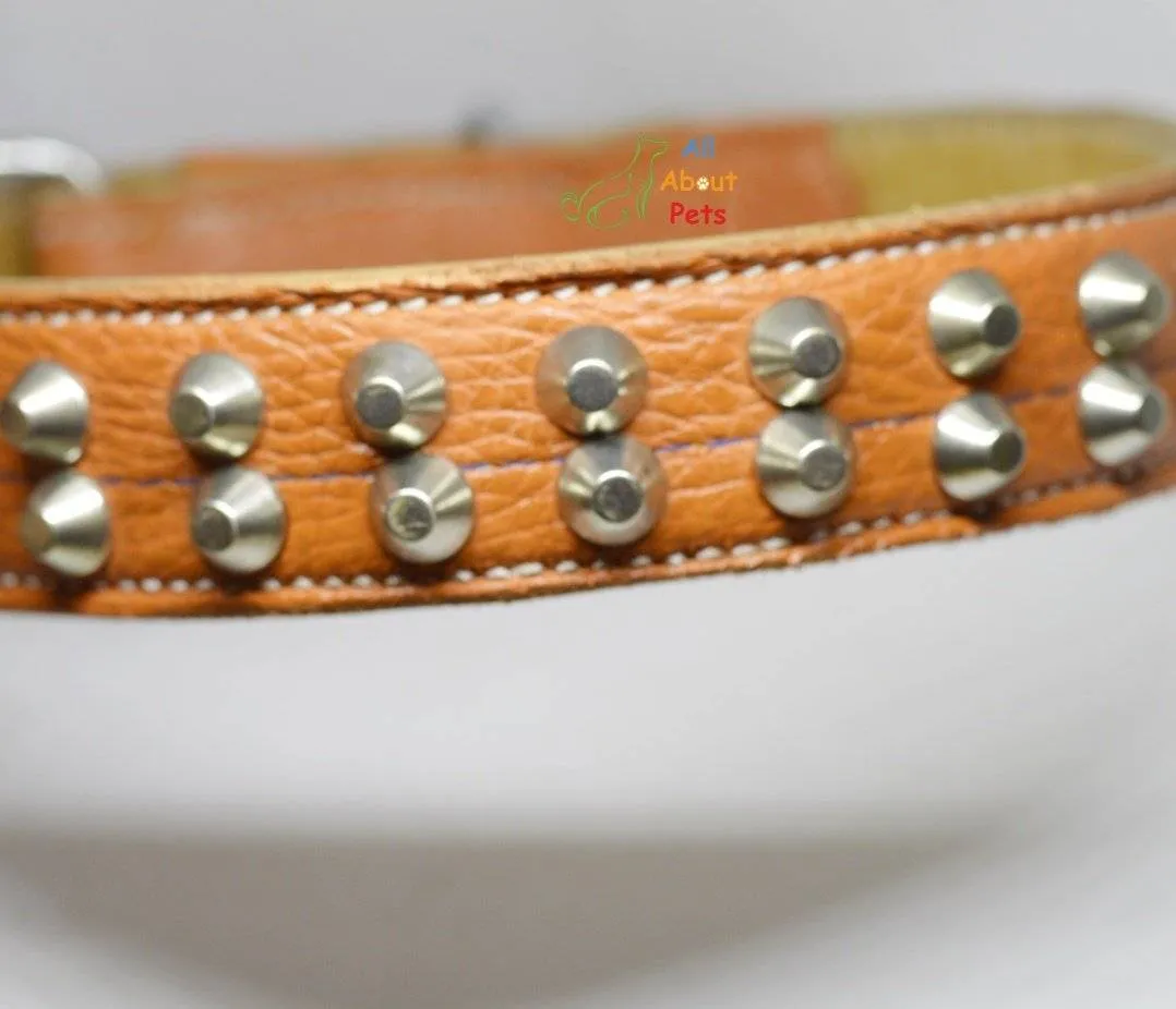 Genuine Leather Studded Collar Double Row Orange