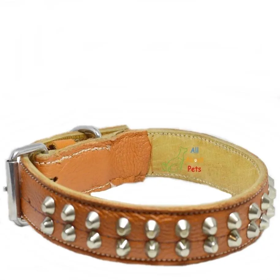 Genuine Leather Studded Collar Double Row Orange