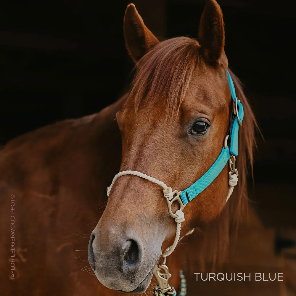 Nylon Lariat Hybrid Halter