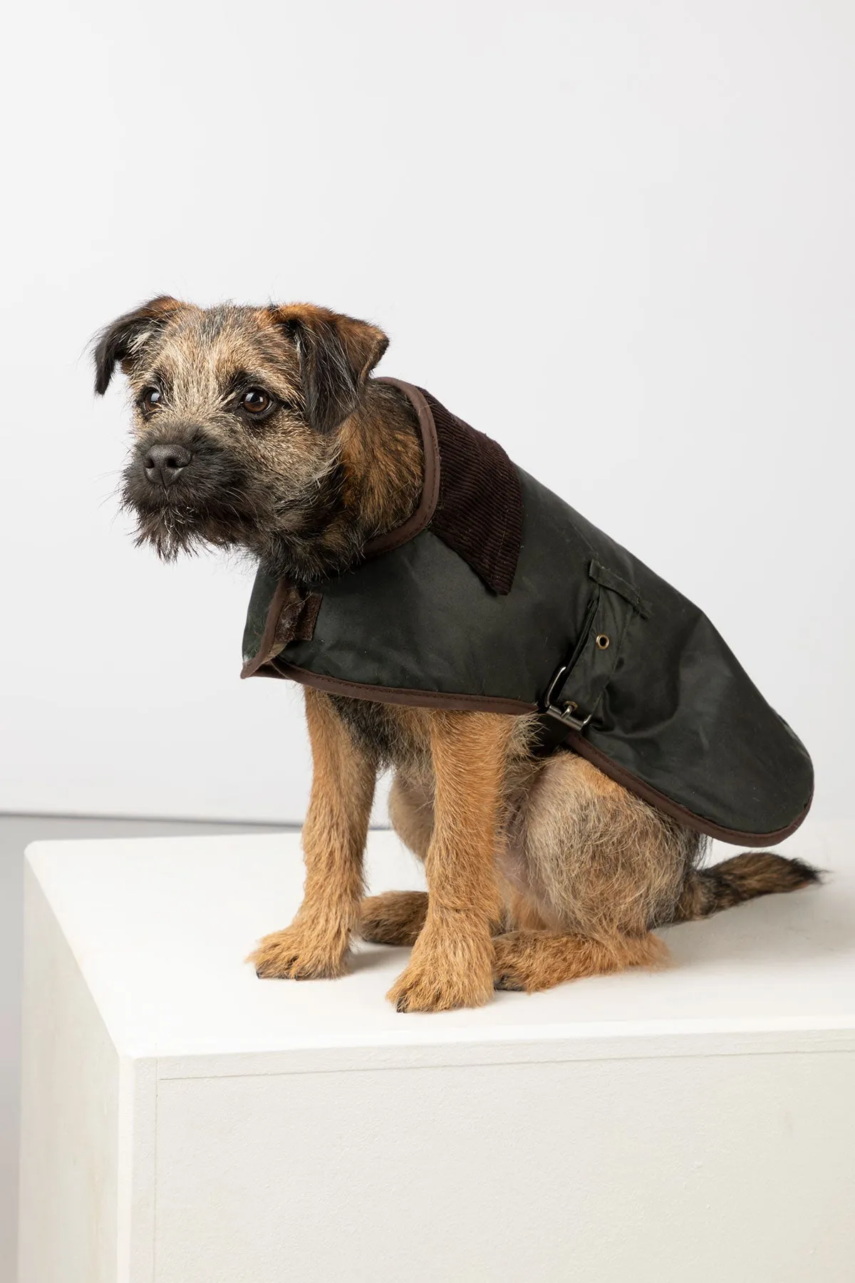 Wax Dog Coat